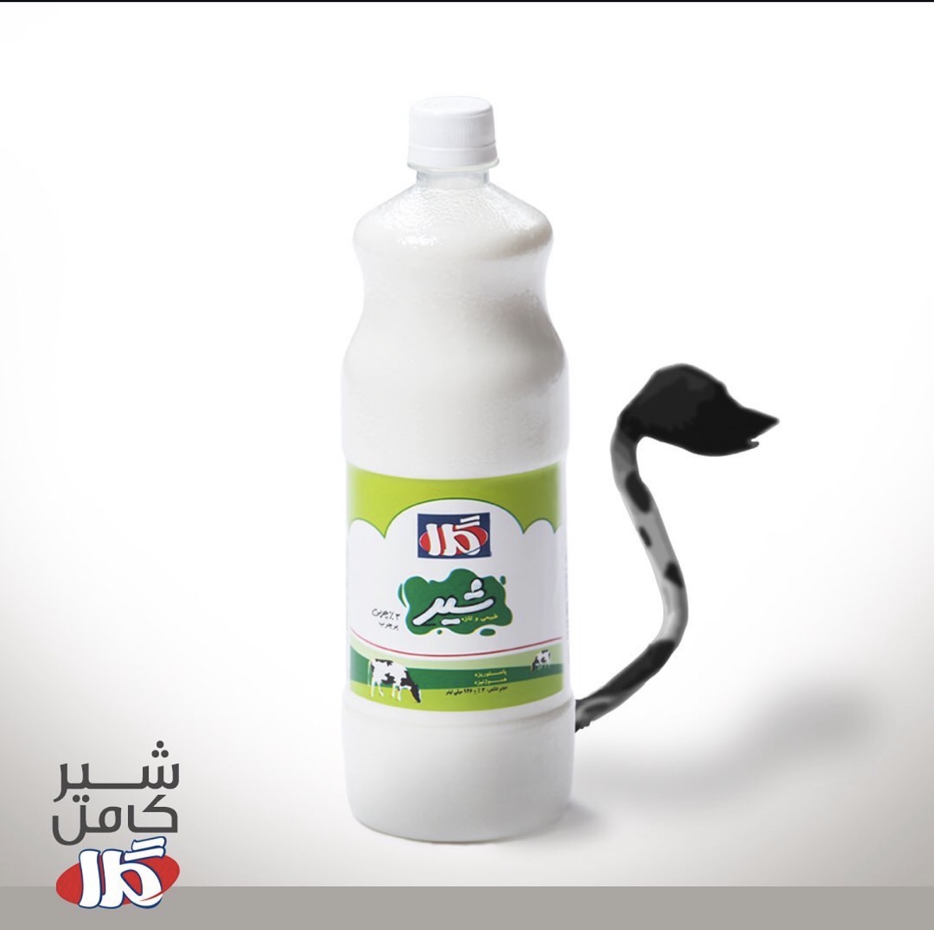 Gela Whole Milk