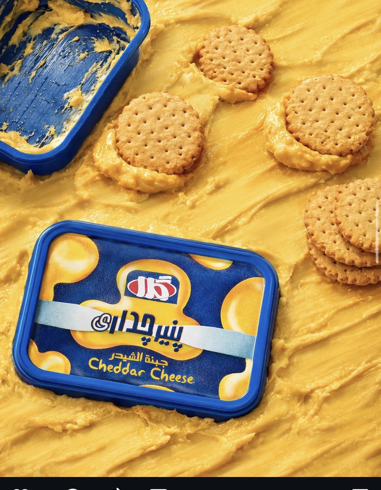Gela Cheddar Cheese