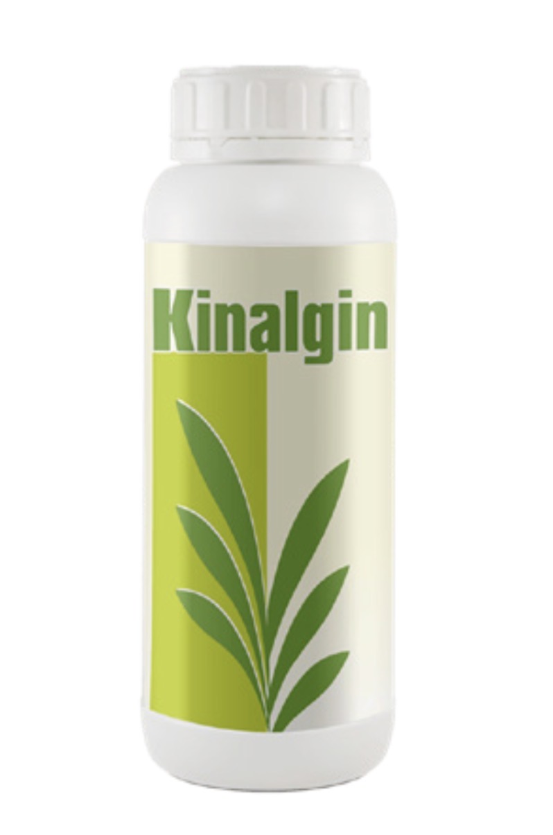 Nature Kinalgin Plant Biostimulant