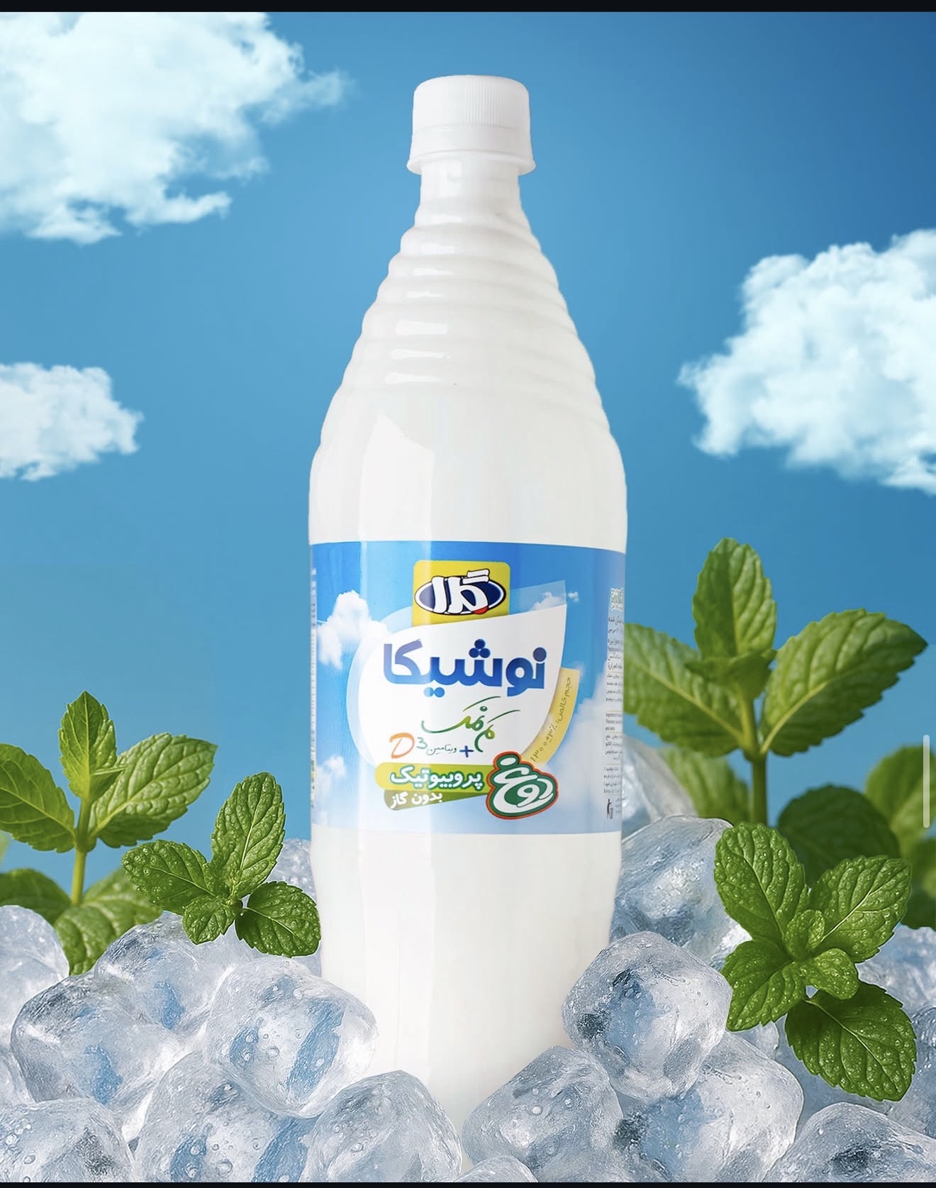 Gela Noshika Probiotic Doogh
